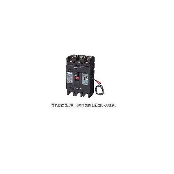 漏電警報付サーキットブレーカ（経済形）