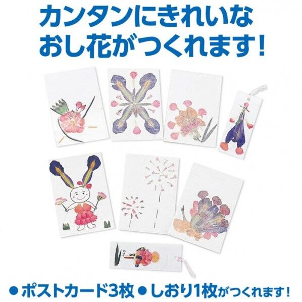 押し花セット