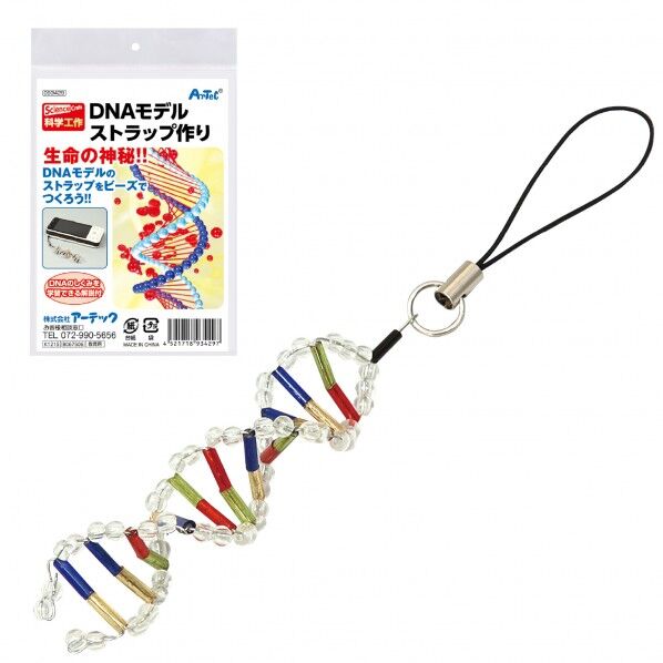 DNAモデルストラップ作り