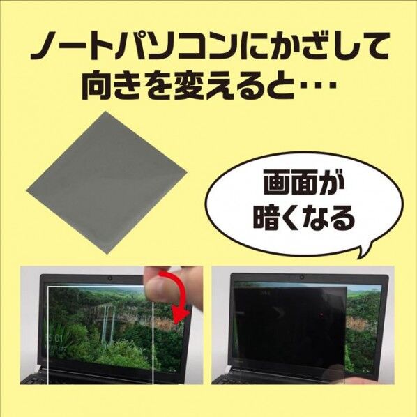 偏光板