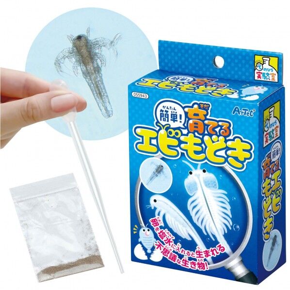 簡単!育てるエビモドキ