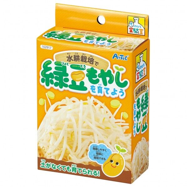 水耕栽培で緑豆もやしを育てよう