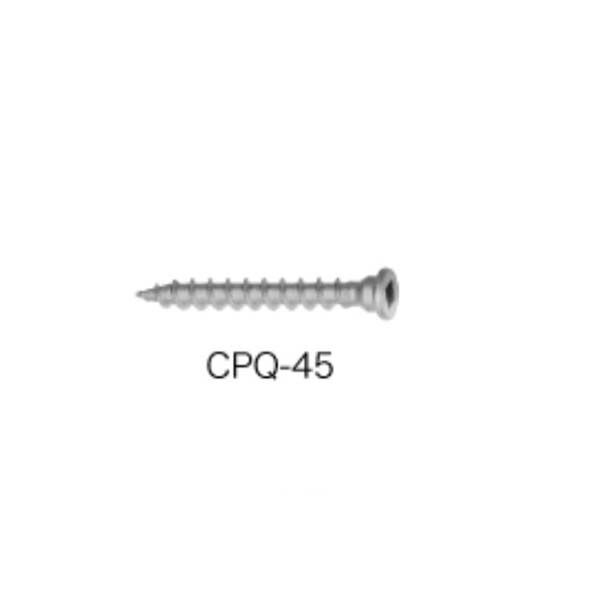 四角ビス 80入り CPQ-45 1袋...