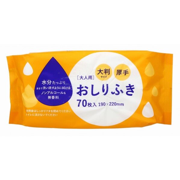大人用 おしりふき 大判