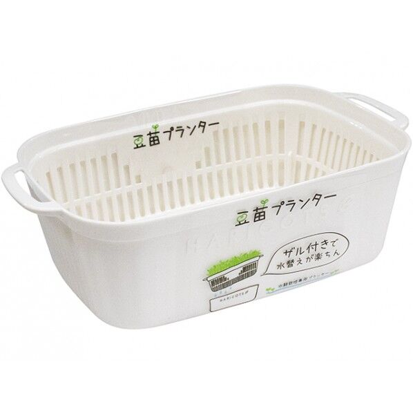豆苗プランター