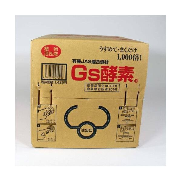 Gs酵素