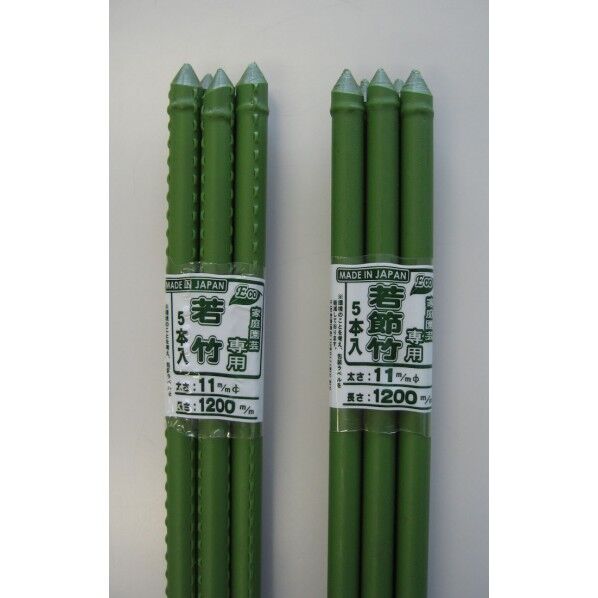 若竹 5本パック