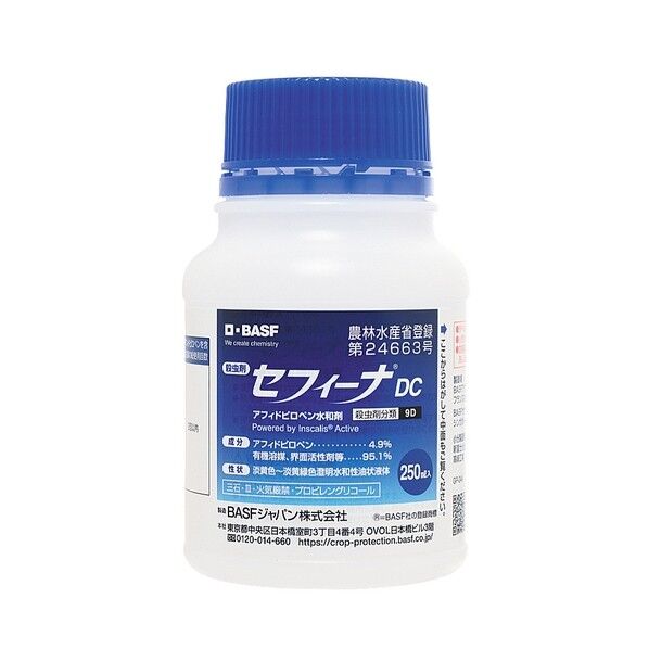 セフィーナDC
