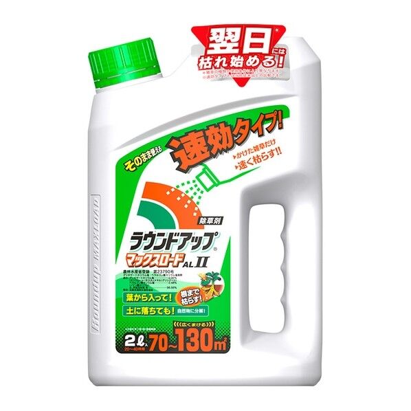1個