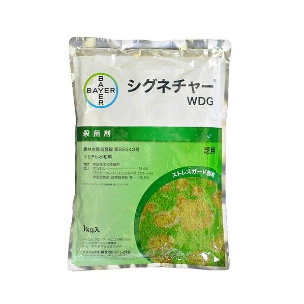 シグネチャーWDG