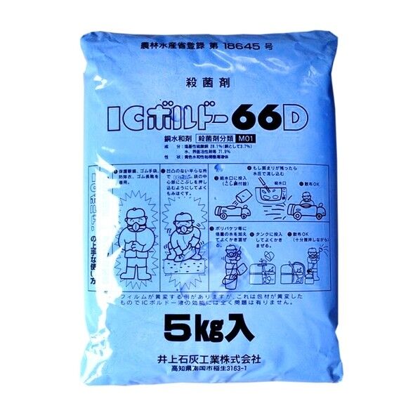 ICボルドー 66D
