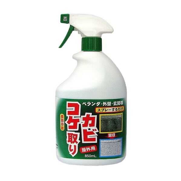 コケカビ取り