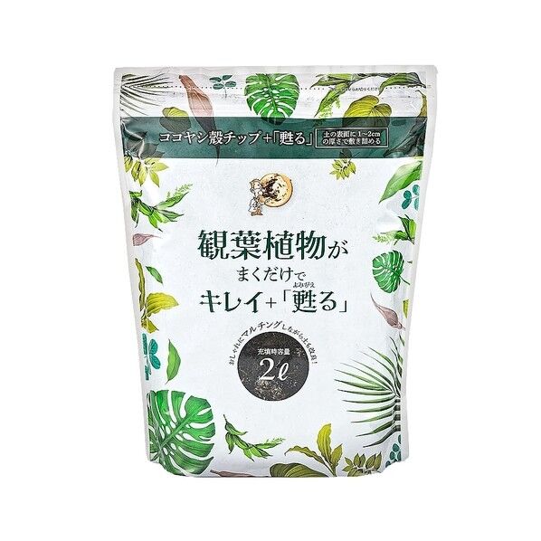 観葉植物がまくだけ
