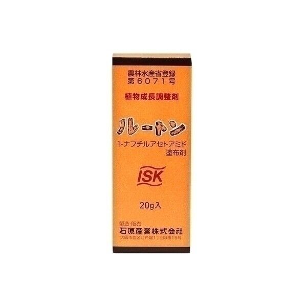石原 ルートン 20g 1点