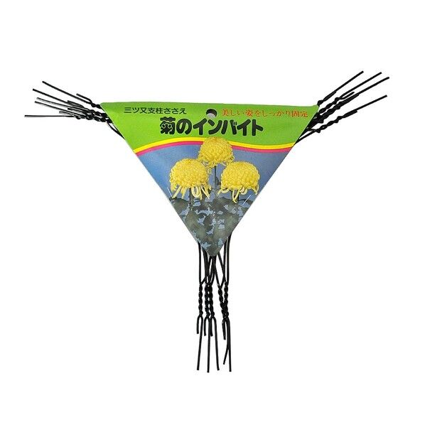 渡辺泰 菊のインバイド 菊の支柱固定器具 幅300mm×高さ300mm×太さ2mm 5本