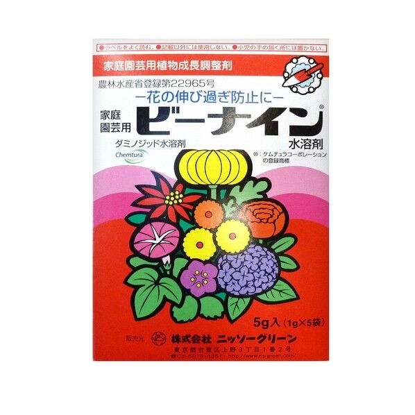 ビーナイン 1個