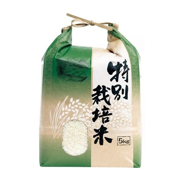 特別栽培米 503 5kg用