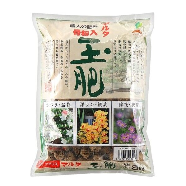 マルタ 玉肥(大粒) 1点