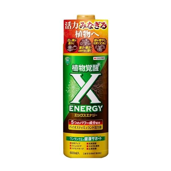 X-エナジー
