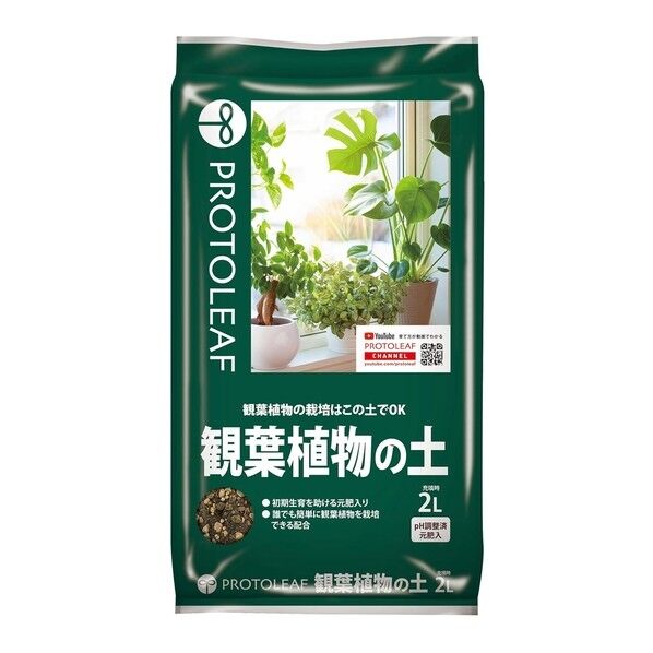 2L 1点