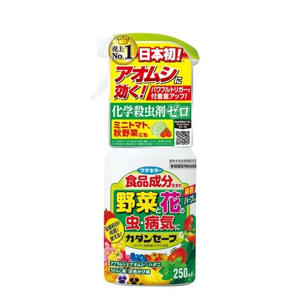 カダンセーフ