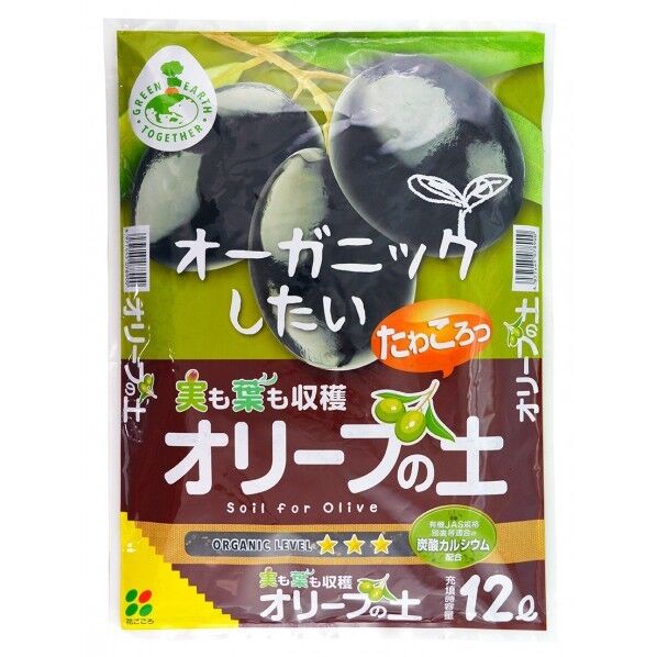 オリーブの土