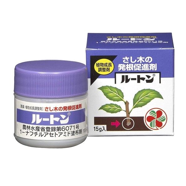 ルートン15g