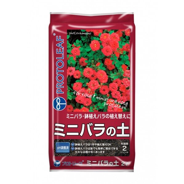 2L　15×26×4cm