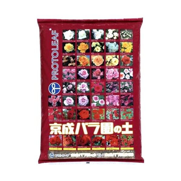 5L　24×36×6cm