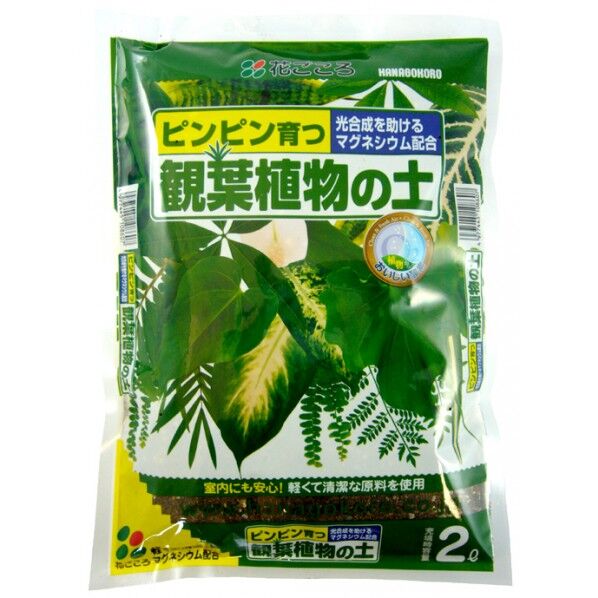 観葉植物の土 2L 1