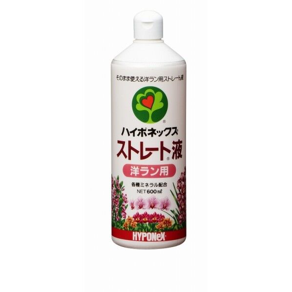 ストレート液洋ラン用600ml