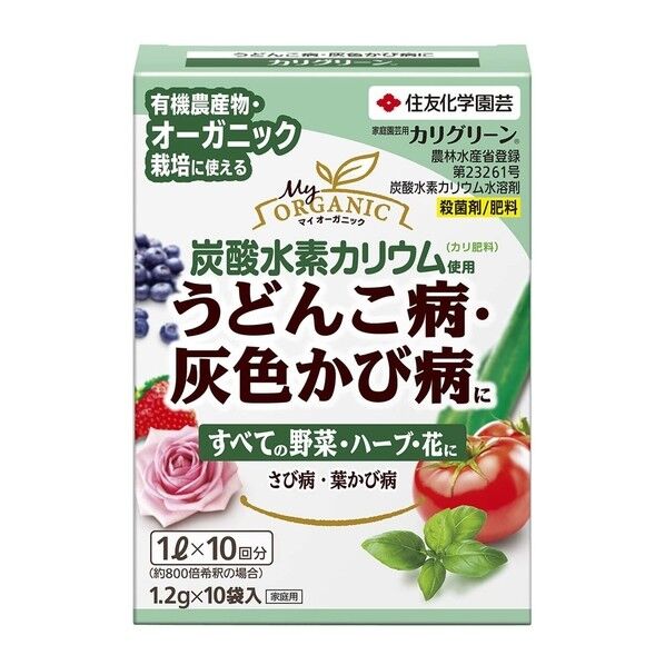 10袋