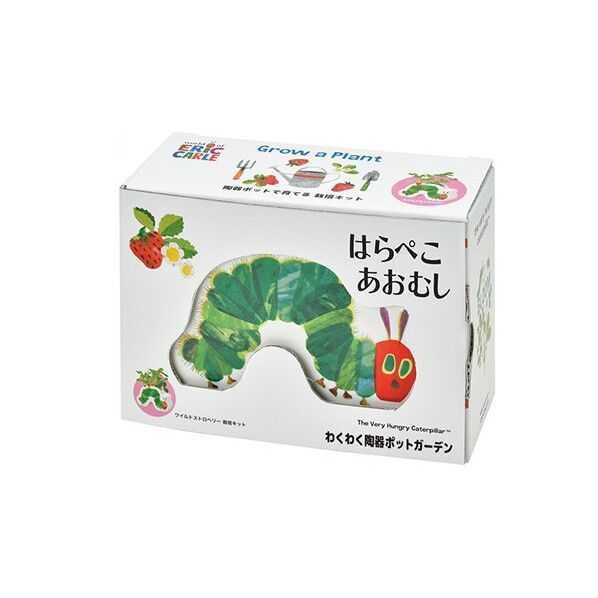 陶器ポットガーデン ストロベリー