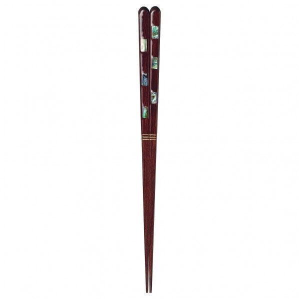 歩み貝 23cm