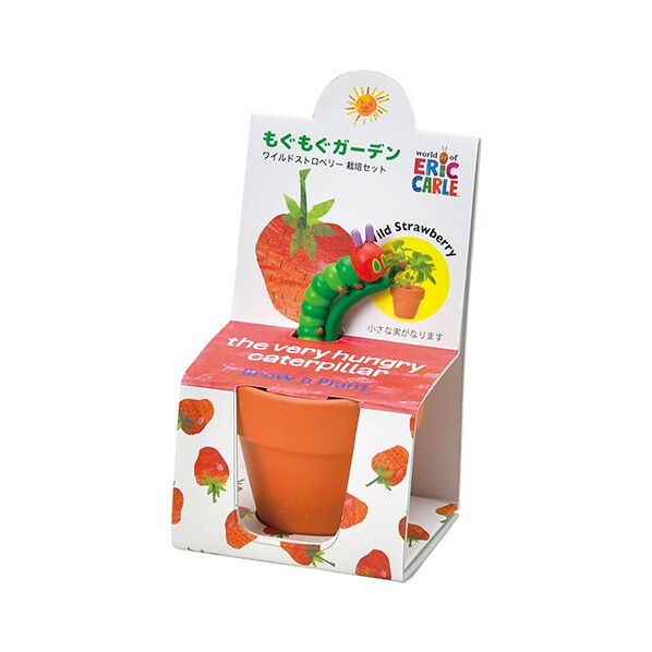 栽培ガーデンセット ストロベリー