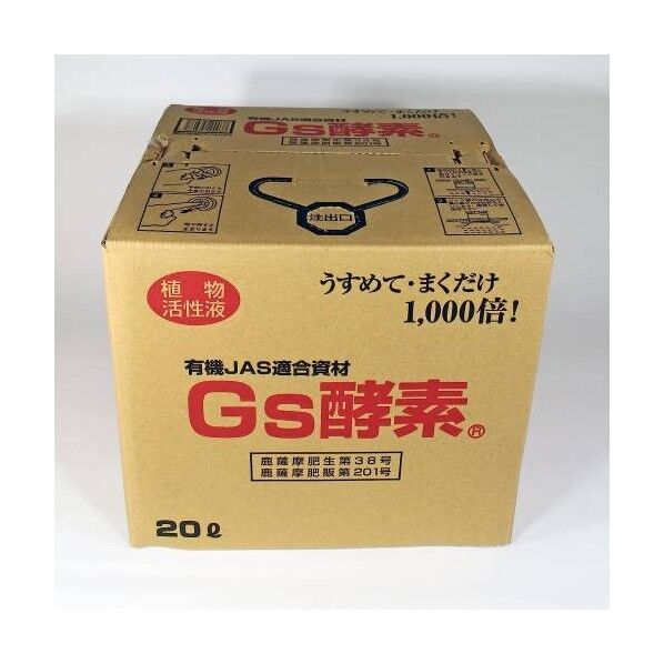 Gs酵素