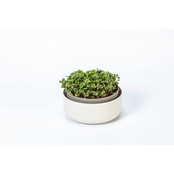 ホームスプラウター Microgreensキッチン菜園キット