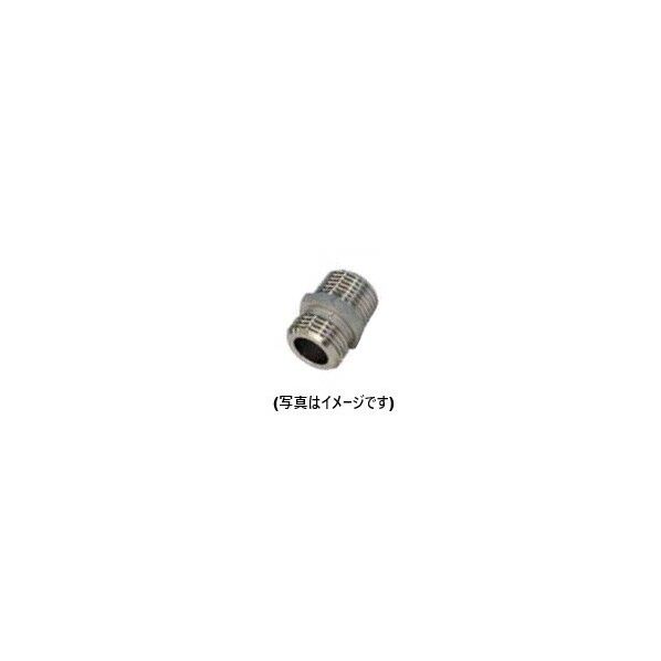 N13S 1個