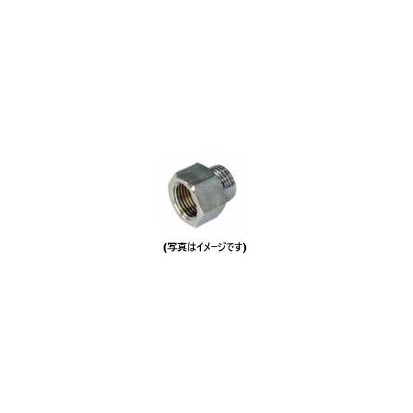 NA13A 1個
