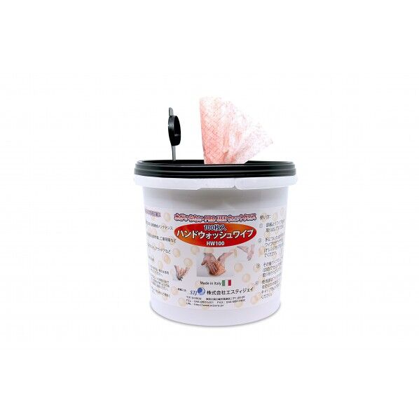 ハンドウォッシュワイプ
