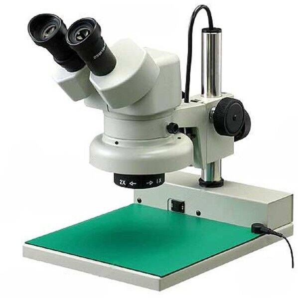 実体顕微鏡
