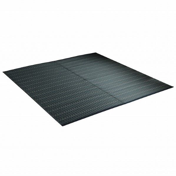 洗える PPカーペット アウトドア ペット 本間10畳(約477×382cm) 1090031192102 ネイビー 477.5×382cm 64-8037-83 1点