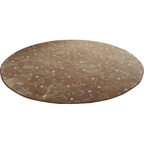 ツインクルキャット