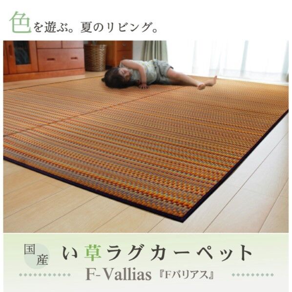 純国産 い草ラグカーペット 『Fバリアス』 約191×250cm(裏:ウレタン) 1050740063904 ブラウン 191×250cm 64-8011-76 1点