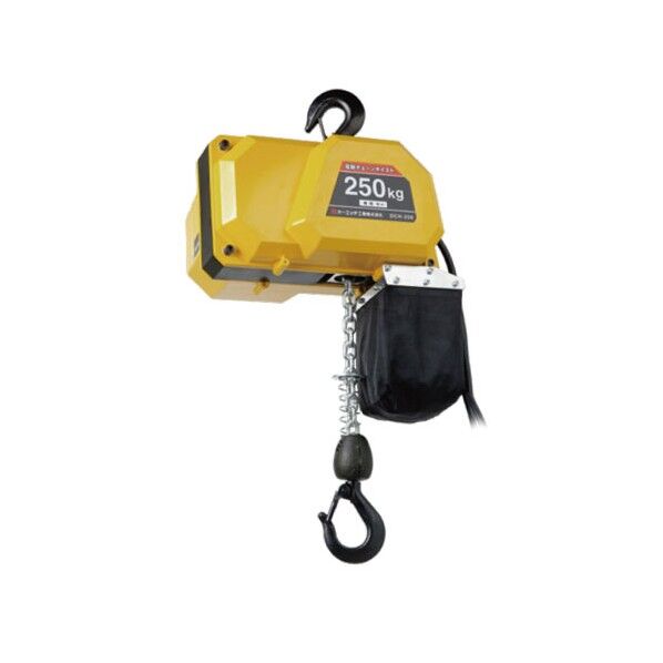 電動チェーンホイスト 1点