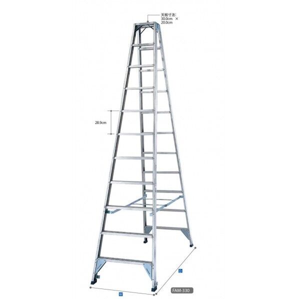 強力型専用脚立