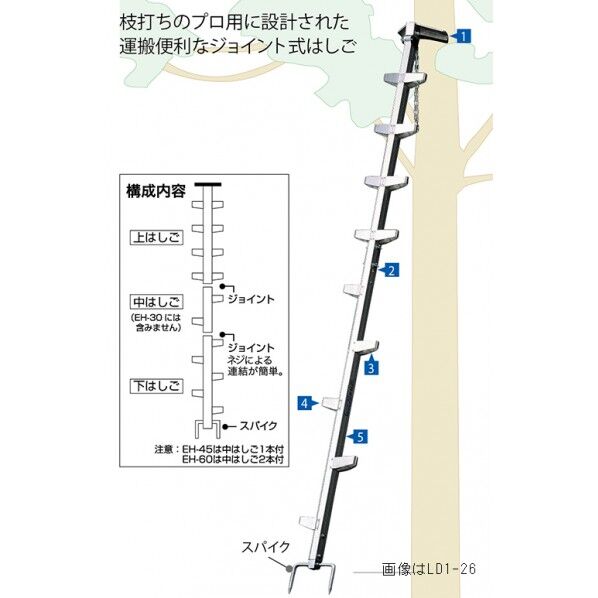 枝打はしご