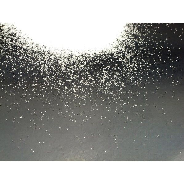 ホーザン 研磨材5KG(#100・SG-106用) SG-118-100 1...