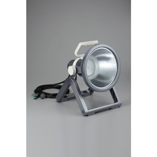 LEDプロライト LF-30 1個