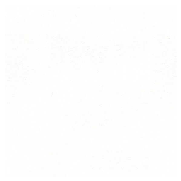 壁紙 ベスト 無地調 （不燃）